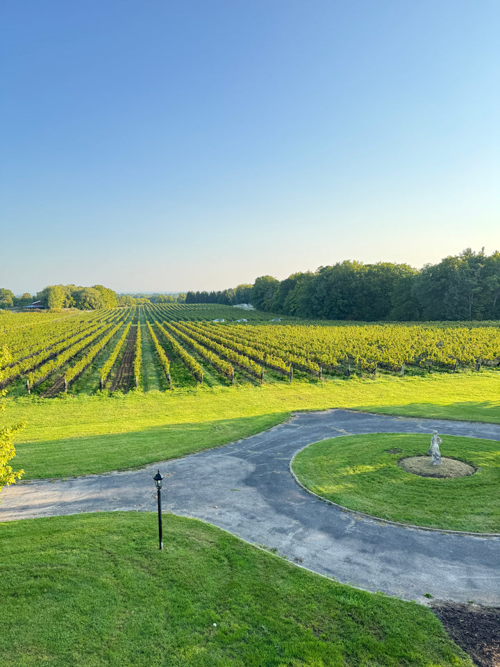 Westcott Vineyards 'Butlers' Grant' Cabernet Franc 2020
