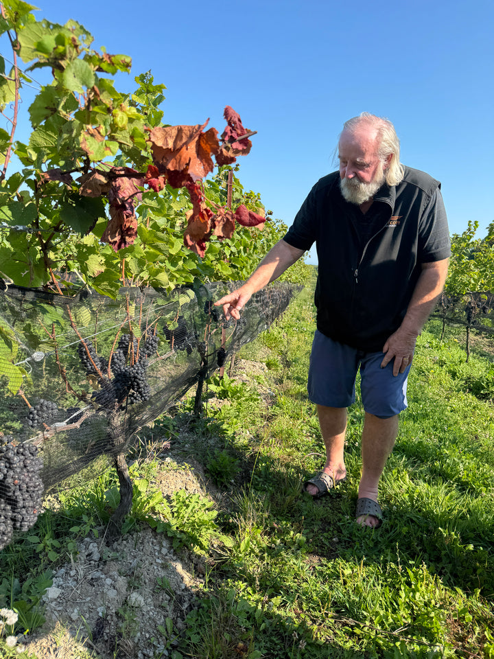 Westcott Vineyards 'Butlers' Grant' Cabernet Franc 2020