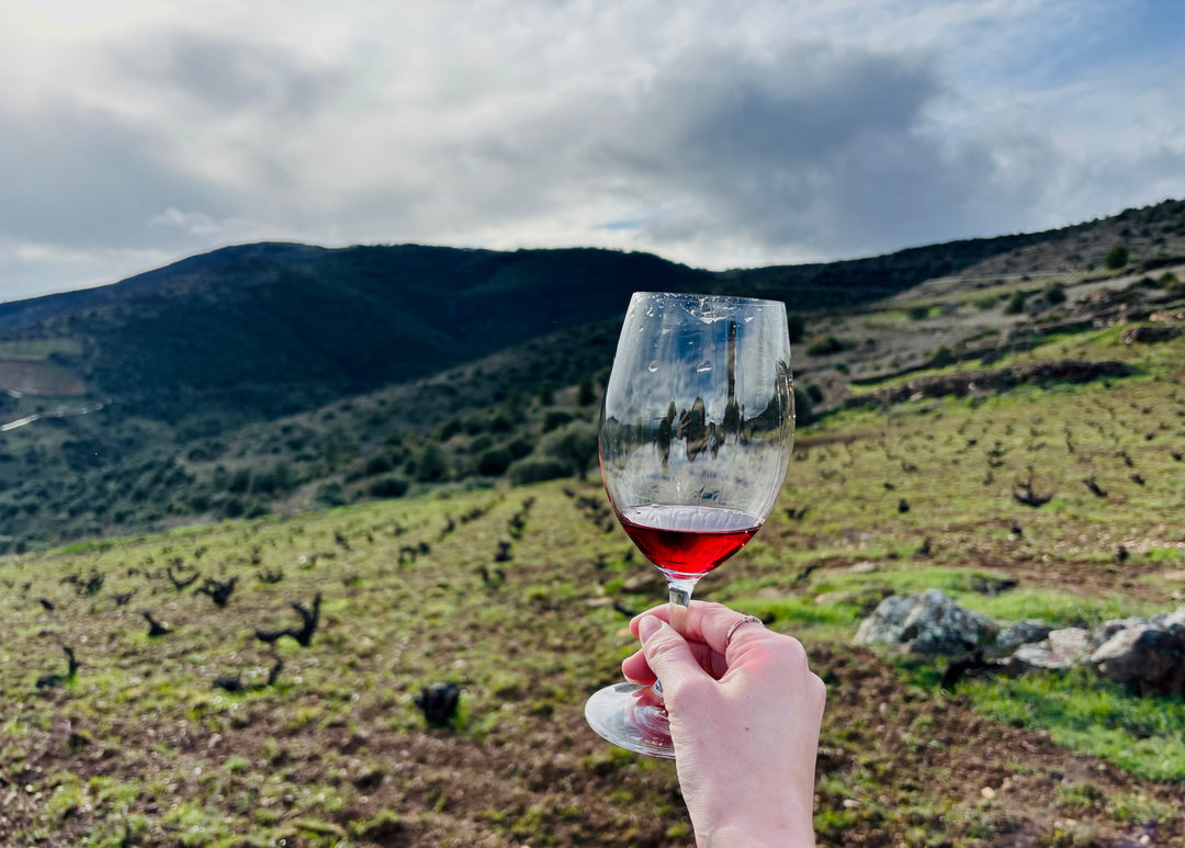 A Journey through wine & wilderness: Sierra de Gredos