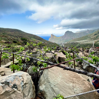 There Is Nothing New About The New-Wave Wines Of Tenerife