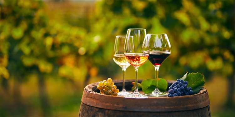 What are your thoughts on house wine?