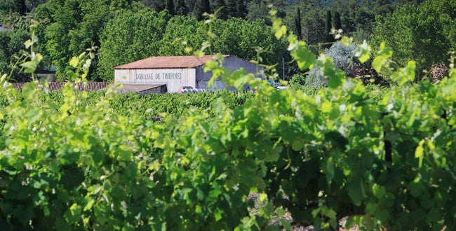 Domaine de Triennes