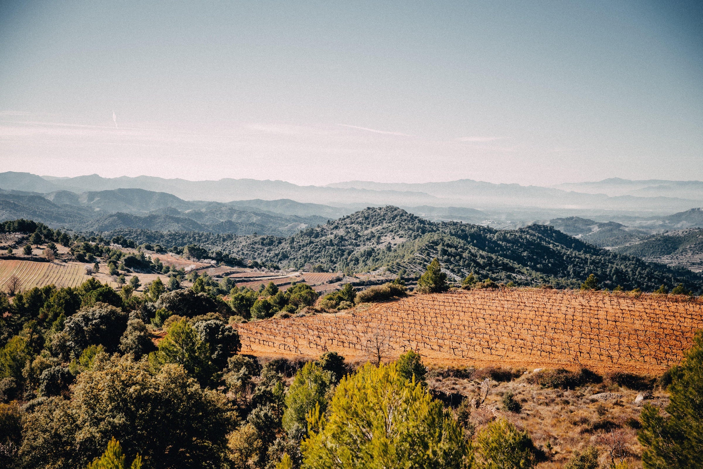 Rioja - Vino Gusto