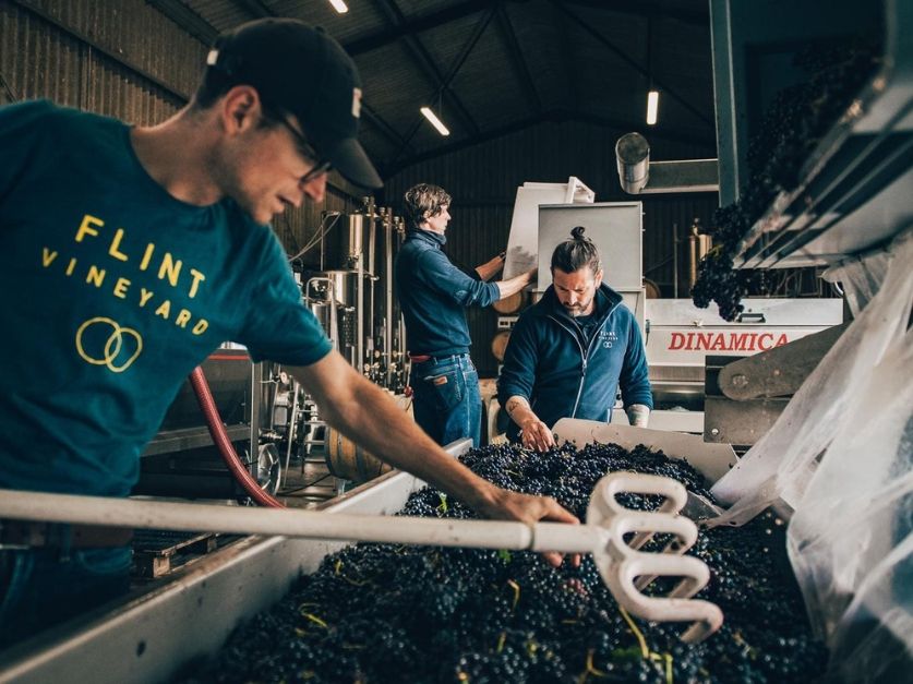 Explore Flint Vineyard // Friday 27th June 2025 // Shop Floor Tasting