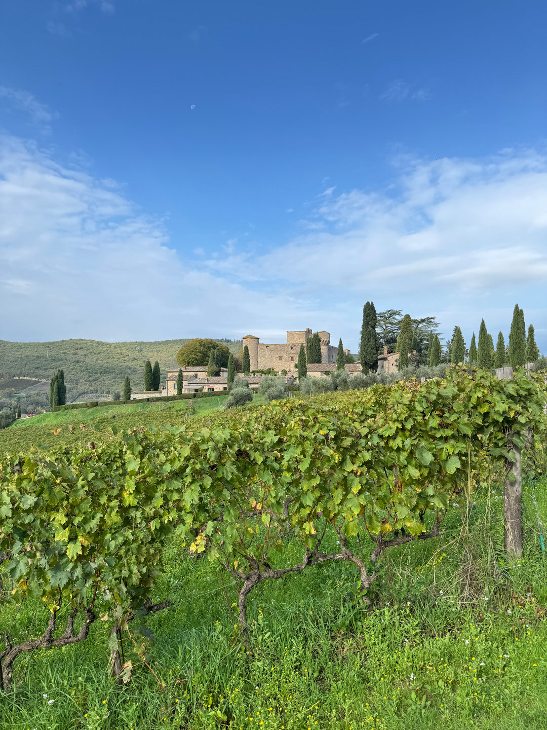 Meet the Maker: Castello di Meleto // Thursday 26th February 2026 // Shop Floor // 7pm